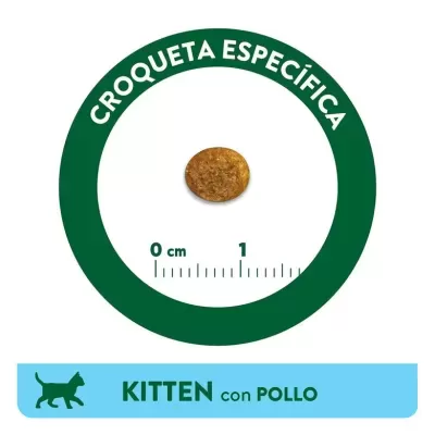 Croqueta específica para gato com ícone de gato e texto KITTEN con POLLO