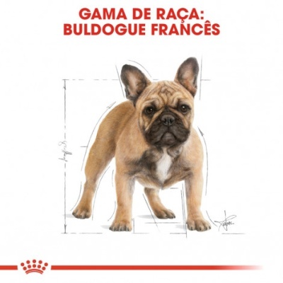 Ilustração de um buldogue francês com texto da raça em vermelho