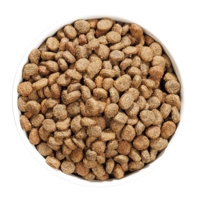 Tigela branca com ração seca castanha para animais
