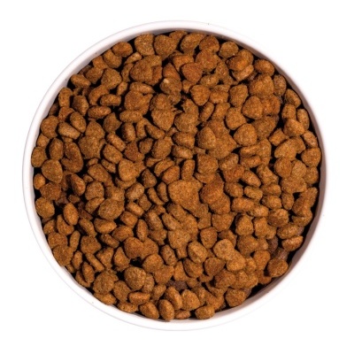 Taça cheia de ração seca castanha para animais