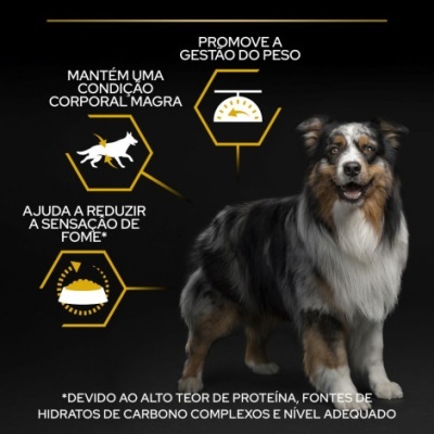 Cão com textos destacando benefícios para peso, condição corporal e fome