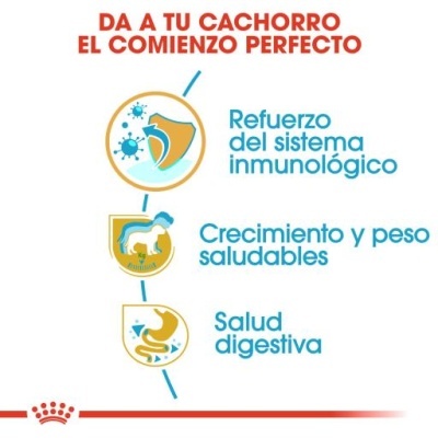 Infográfico em espanhol sobre benefícios de produto para cachorros Royal Canin