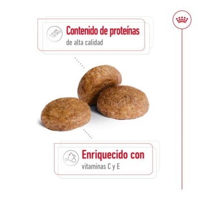 Três bolachas castanhas com texto explicativo em espanhol e logótipo Royal Canin