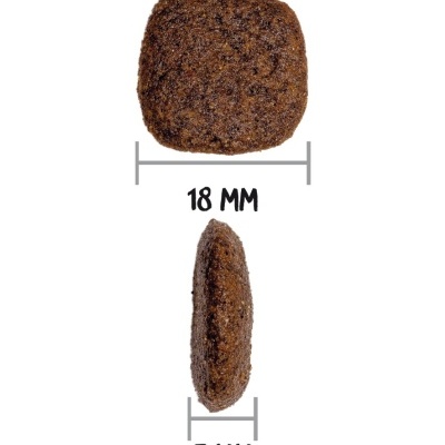 Peças quadradas castanhas com medidas 18 mm x 7 mm sobre fundo branco