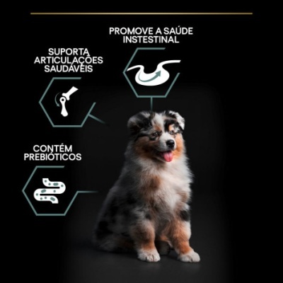 Cão tricolor sentado com texto sobre saúde intestinal, articulações e prebioticos