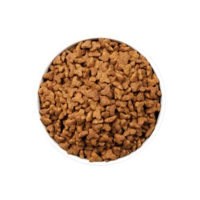 Tigela branca com ração seca castanho clara em formato de ossos