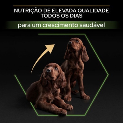 Dois cães jovens castanhos com texto sobre nutrição de elevada qualidade em fundo preto