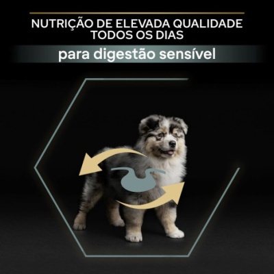 Cachorro com texto sobre nutrição de elevada qualidade para digestão sensível