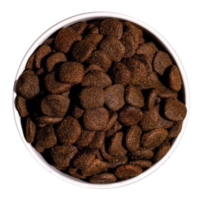 Tigela branca cheia de comida seca castanha escura