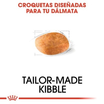 Croqueta castanha clara com texto promocional para cão dálmata