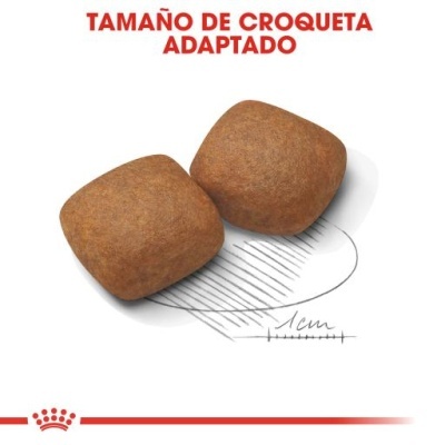 Duas croquetas quadradas marrons com texto TAMANO DE CROQUETA ADAPTADO