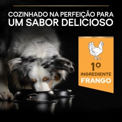 Cão a comer ração PURINA PRO PLAN com destaque para frango como 1º ingrediente