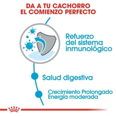 Texto em espanhol sobre saúde de cachorros e logótipo Royal Canin vermelho