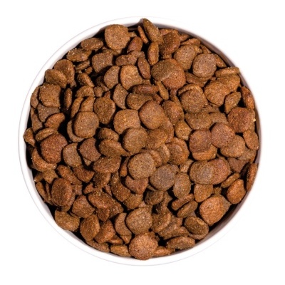 Tigela branca com ração seca castanho escuro