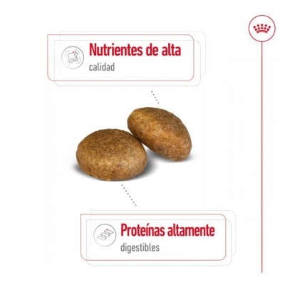 Dois biscoitos castanhos com textos nutricionais sobre fundo branco