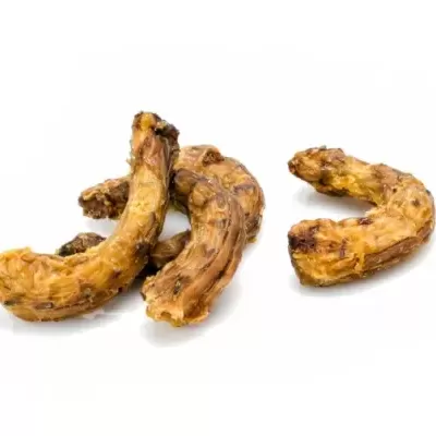 Pedaços de gengibre seco castanho sobre fundo branco