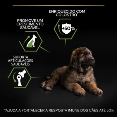 Cão deitado com textos informativos sobre benefícios do produto para cães