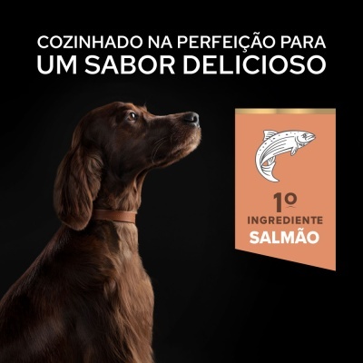 Cão castanho com texto sobre sabor e ingrediente salmão em fundo preto