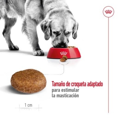 Cão a comer de um comedouro vermelho com croquete e texto em castelhano sobre tamanho de croquete