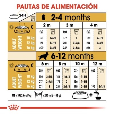 Tabela de alimentação para cães Royal Canin com idades e pesos em kg, quantidades em gramas e copos, ícones de sol e pratos