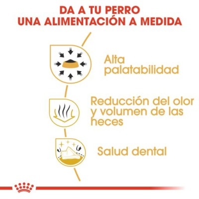 Descrição em espanhol sobre alimentação para cães com três benefícios listados, ícones e texto em fundo branco.