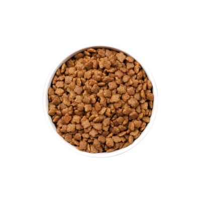 Recipiente branco com comida seca para animais