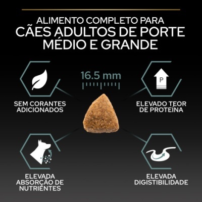 Imagem de ração seca triangular para cães com texto descritivo em português.