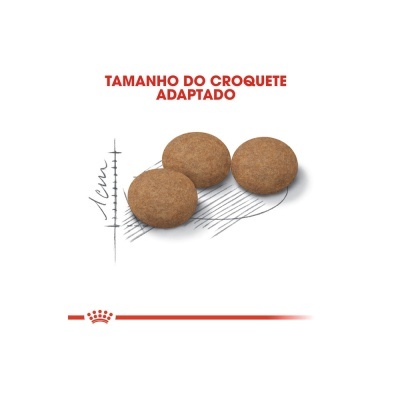 Três croquetes marrons redondos com texto 'TAMANHO DO CROQUETE ADAPTADO'