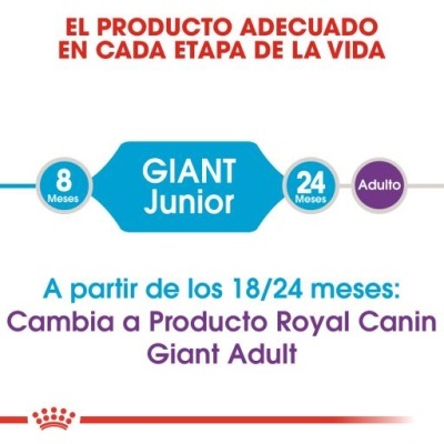 Gráfico de fases do produto Royal Canin para cães, com indicação de GIANT Junior e recomendação para Giant Adult.