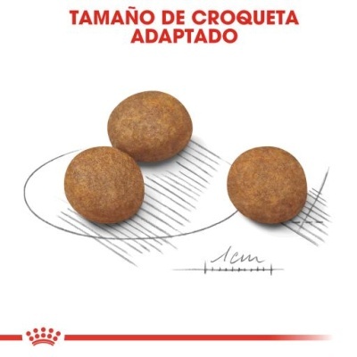 Três croquetes marrons com texto TAMAÑO DE CROQUETA ADAPTADO e logotipo Royal Canin