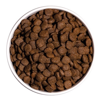 Tigela branca com ração seca castanha para animais vista de cima