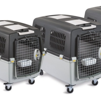 Cinco transportadoras para animais de tamanhos variados com rodízios