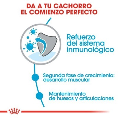 Gráfico com escudo e texto em espanhol sobre saúde para cachorros