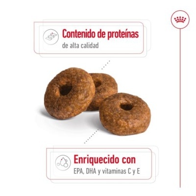 Três biscoitos castanhos redondos com buraco no meio e texto em espanhol sobre proteínas e vitaminas