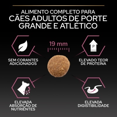 Imagem de alimento para cães com croqueta e texto informativo sobre características do produto