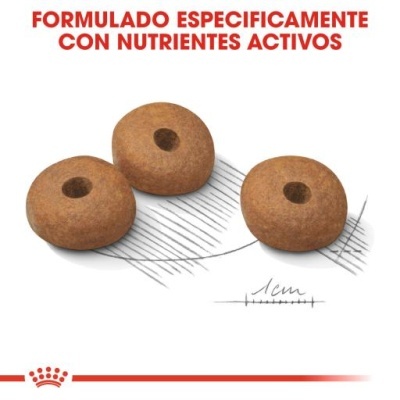 Três pedaços redondos de ração com buraco no meio e texto em espanhol acima
