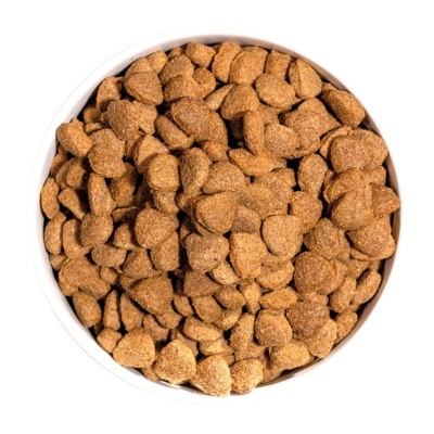 Tigela branca cheia de ração seca castanha em fundo branco