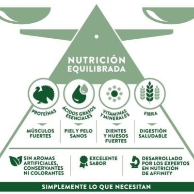 Pirâmide verde com texto sobre nutrição equilibrada em espanhol