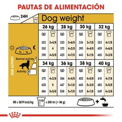 Tabela de pautas de alimentação para cães, com pesos, quantidades em gramas e copos e níveis de atividade.