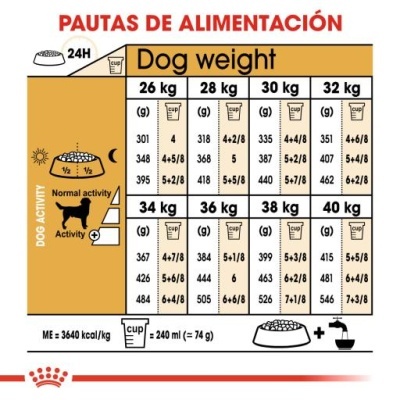 Tabela de alimentação para cães com quantidades em gramas e copos para diferentes pesos e níveis de atividade.