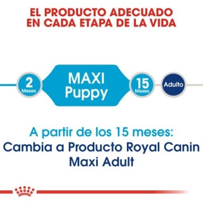 Gráfico Royal Canin mostrando fases do produto Maxi Puppy e Maxi Adult para cães