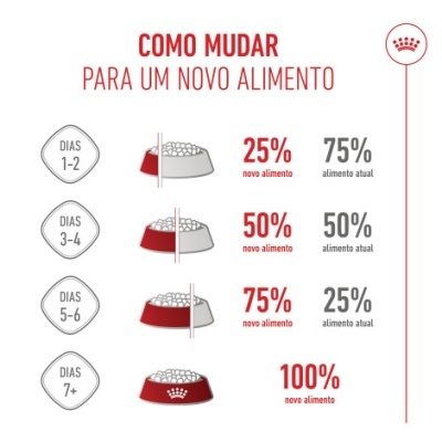 Infográfico sobre como mudar para um novo alimento para cães com percentagens e dias indicados.