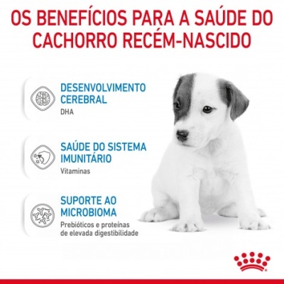Benefícios para a saúde do cachorro recém-nascido com descrição e imagem de cão e logótipo Royal Canin