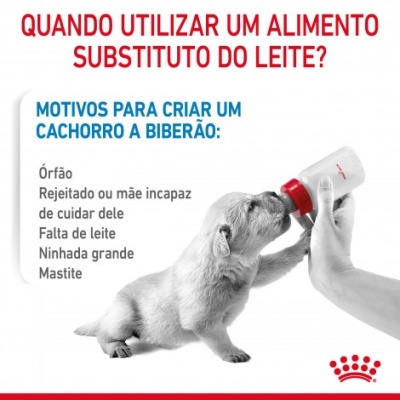 Cão pequeno a beber leite de um biberão branco e vermelho, com texto informativo em português