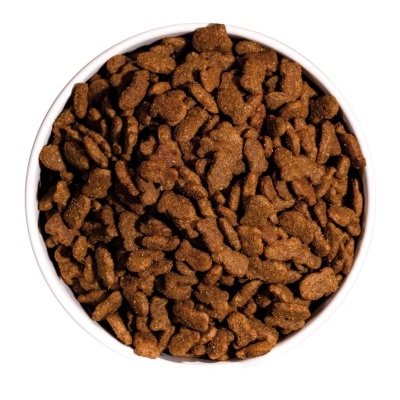 Tigela branca com ração para cães castanha em textura granulada