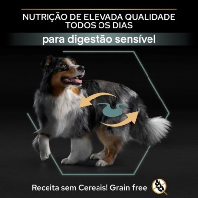 Cão tricolor com texto sobre nutrição de elevada qualidade e digestão sensível para ração sem cereais