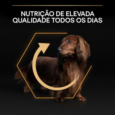 Cão castanho com texto sobre nutrição de qualidade