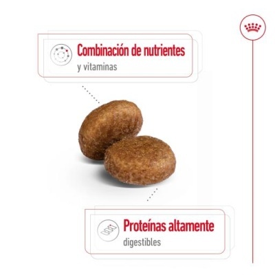 Pastilhas marrons redondas com texto em espanhol sobre nutrientes e proteínas