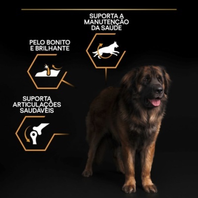 Cão castanho escuro com texto em português sobre benefícios para a saúde em fundo negro