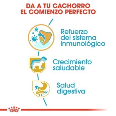 Texto em espanhol sobre cuidados para cachorros com ícones e logo Royal Canin
